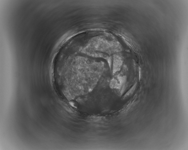 X0000111840339200908131423