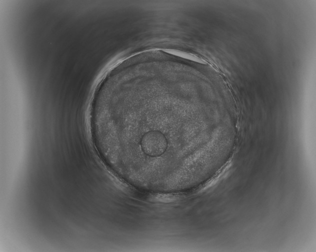 X0000111840341200908131423