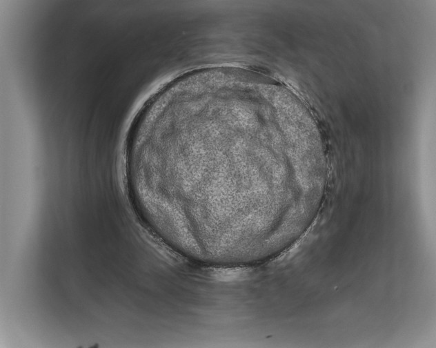 X0000111840342200908131423