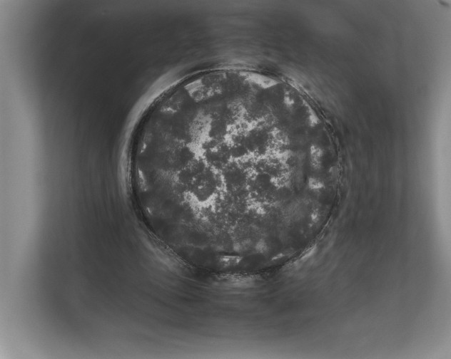 X0000111840343200908131423