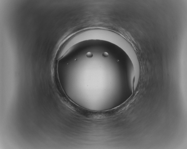 X0000111840344200908131423