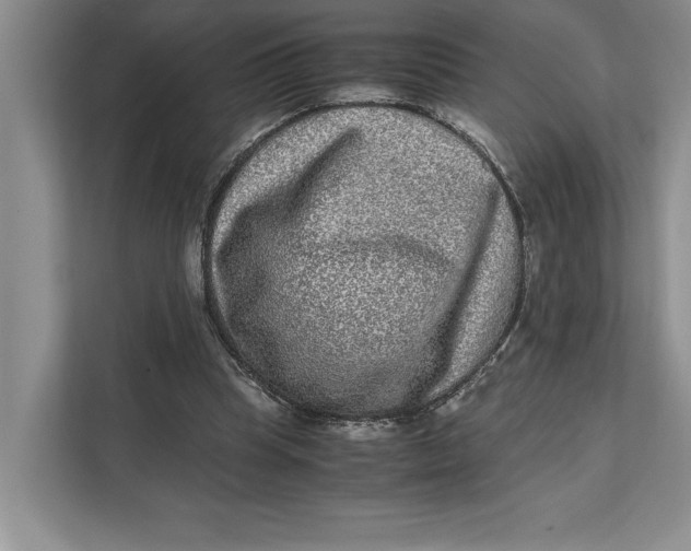 X0000111840345200908131423