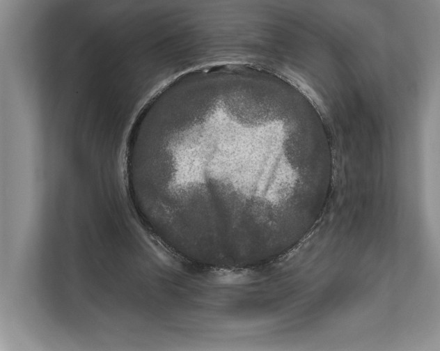 X0000111840346200908131423