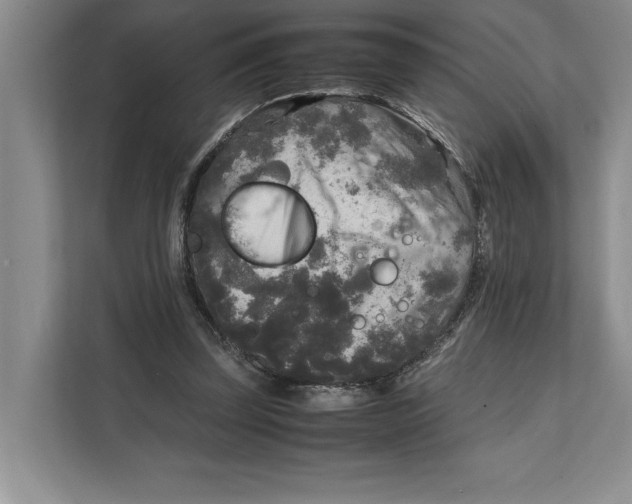 X0000111840347200908131423