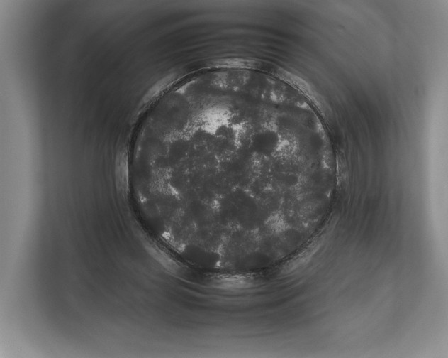 X0000111840349200908131423