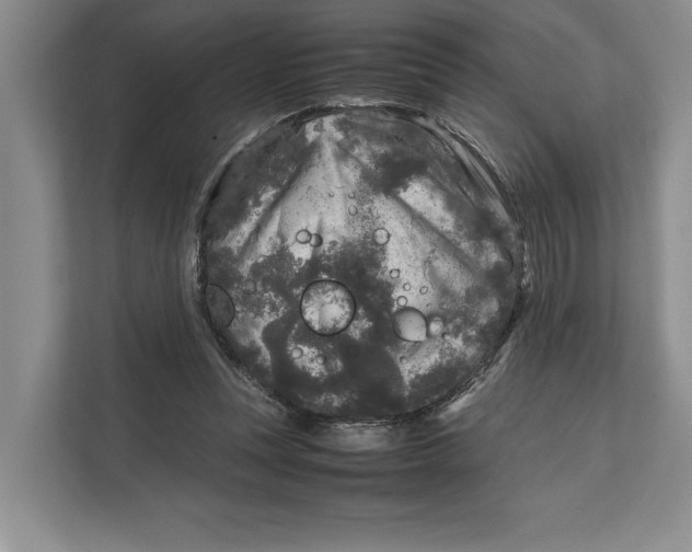 X0000111840351200908131423