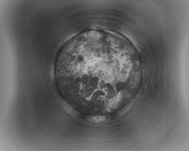 X0000111840353200908131423