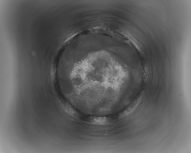 X0000111840355200908131423