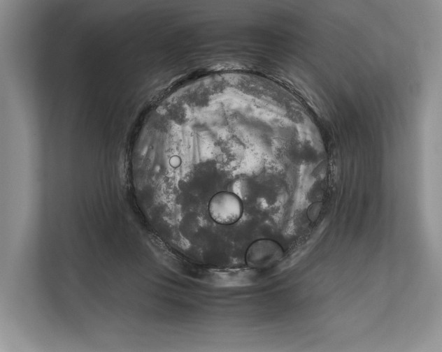 X0000111840359200908131423