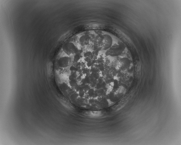 X0000111840361200908131423