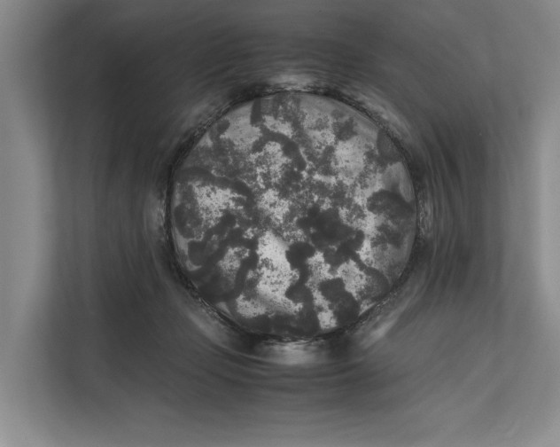 X0000111840365200908131423