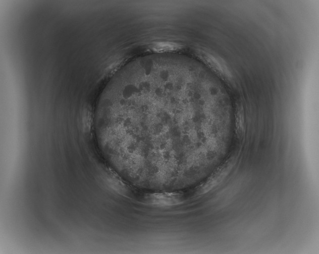 X0000111840367200908131423