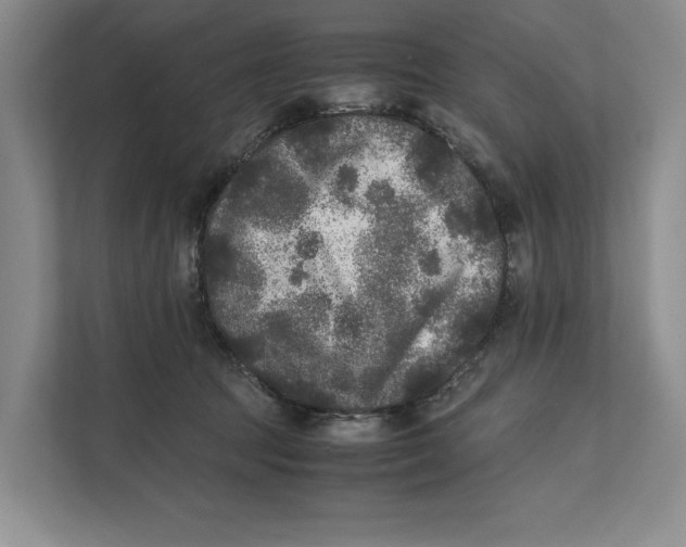 X0000111840369200908131423