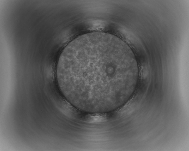 X0000111840370200908131423