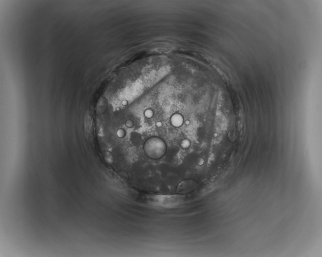 X0000111840371200908131423