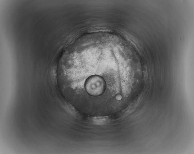 X0000111840373200908131423