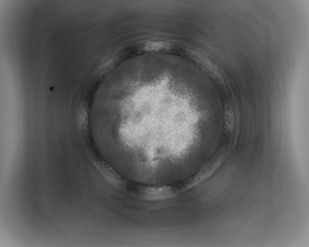 X0000111840375200908131424