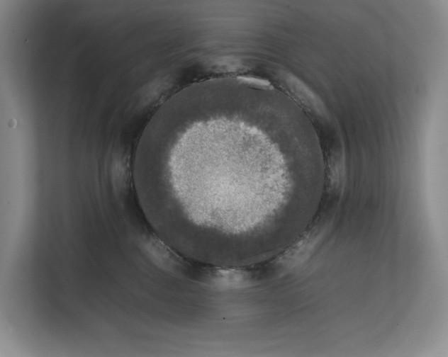 X0000111840376200908131424