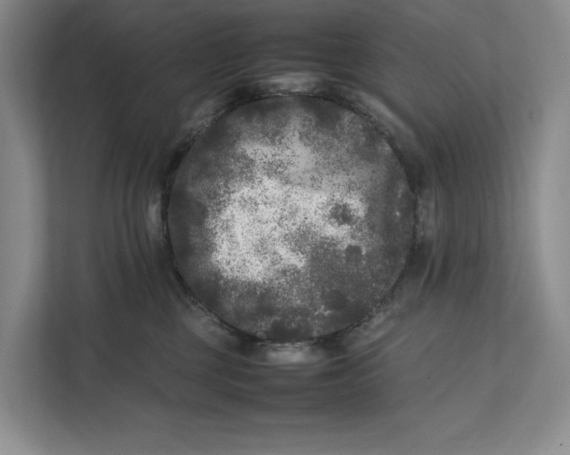 X0000111840377200908131424