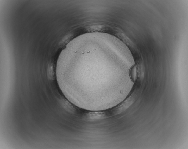 X0000111840378200908131424