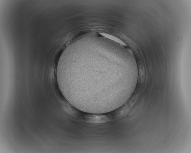 X0000111840379200908131424