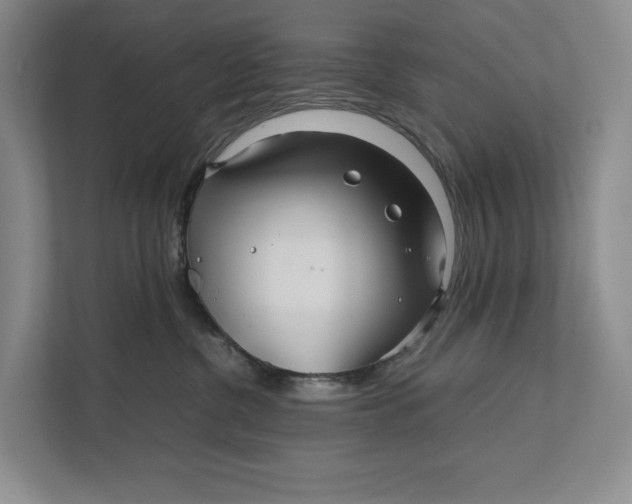 X0000111840380200908131424