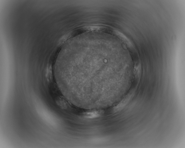 X0000111840381200908131424