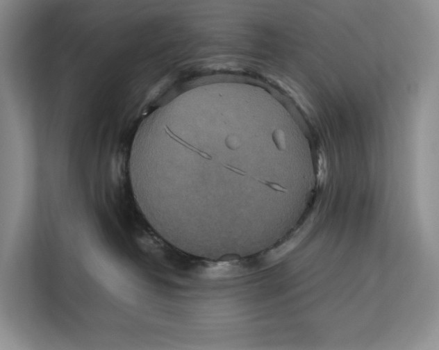 X0000111840382200908131424