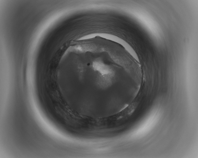 X0000111840383200908131424