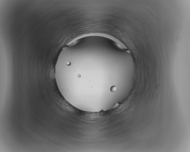 X0000111840384200908131424