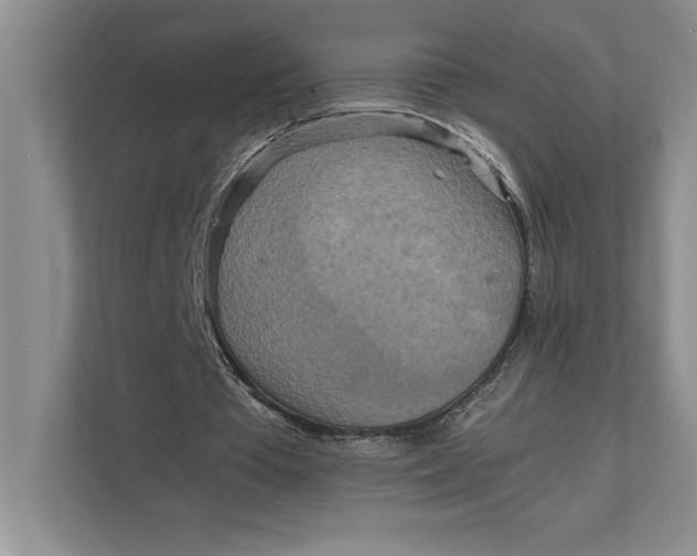 X0000111840385200908131423