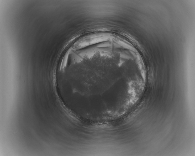 X0000111840386200908131423