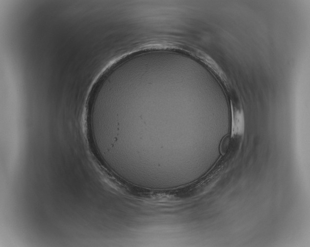 X0000111840387200908131423