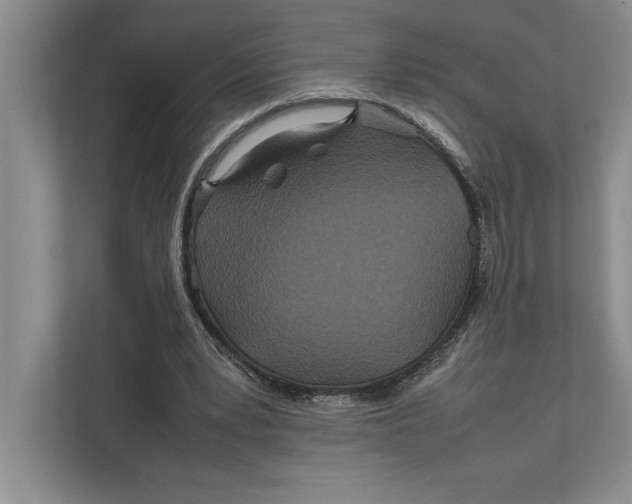 X0000111840391200908131423