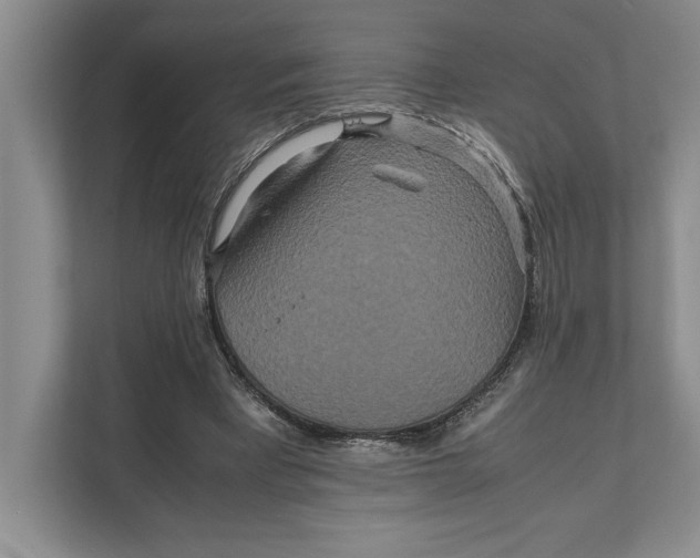 X0000111840393200908131423