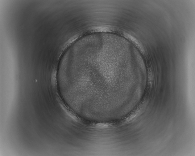 X0000111840394200908131423