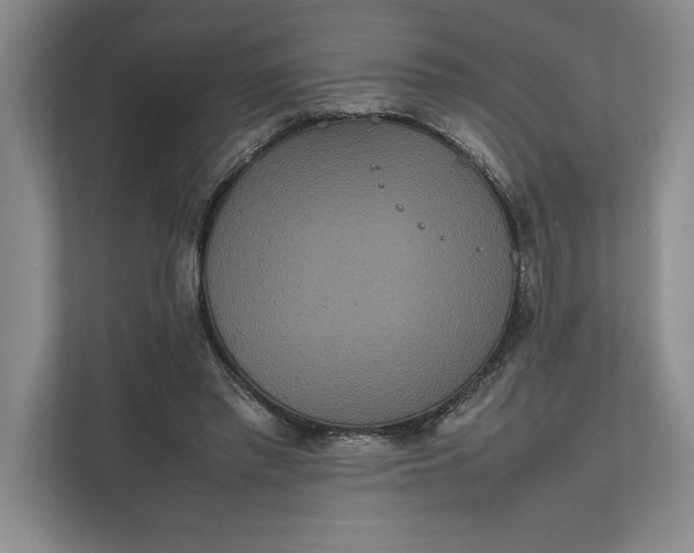 X0000111840397200908131423