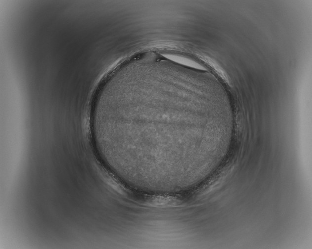 X0000111840399200908131423