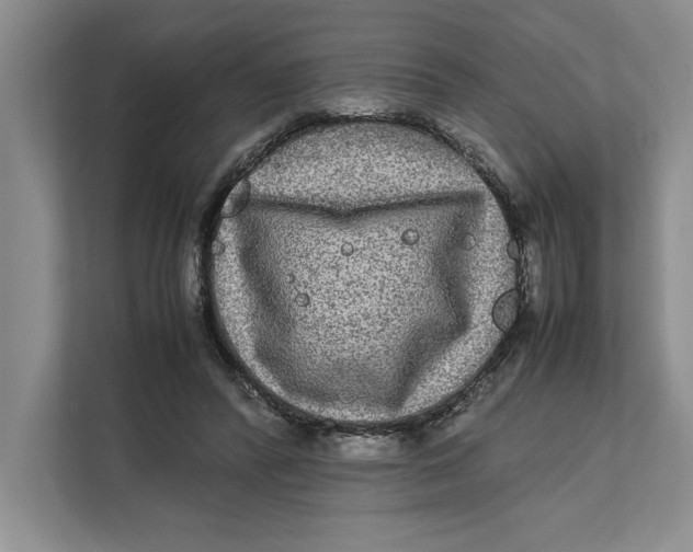 X0000111840400200908131423