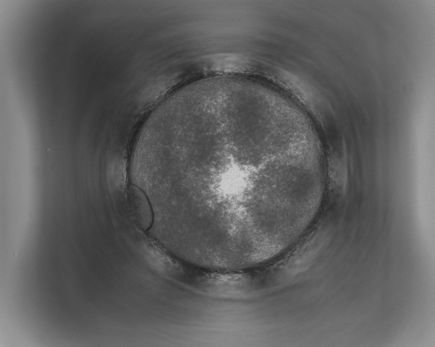 X0000111840401200908131423