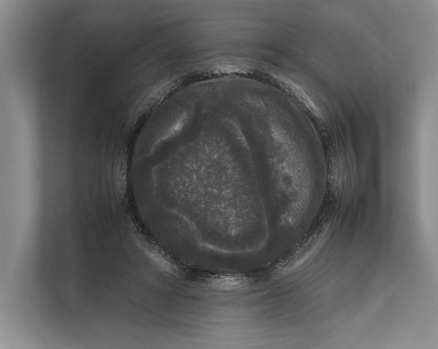 X0000111840402200908131423