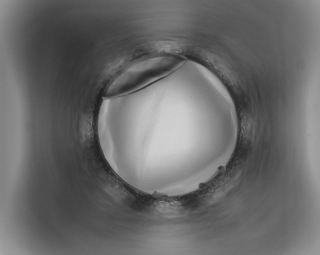 X0000111840403200908131423