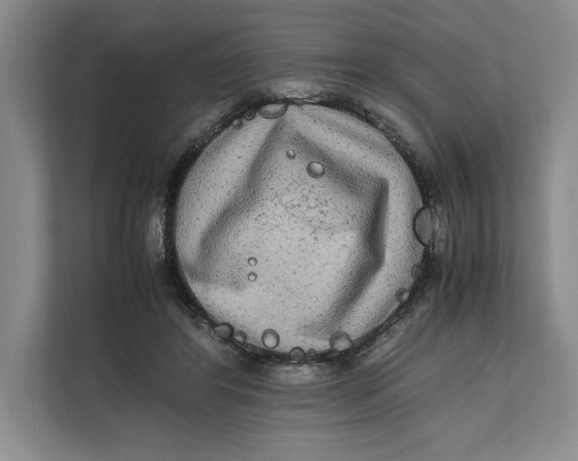 X0000111840404200908131423