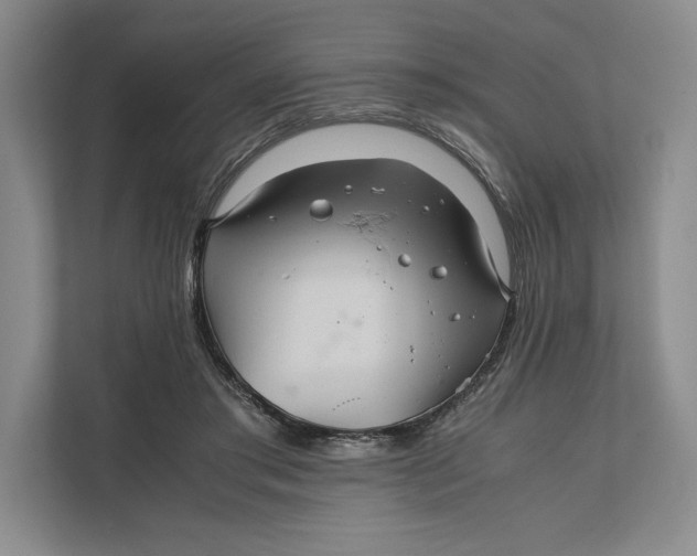 X0000111840405200908131423