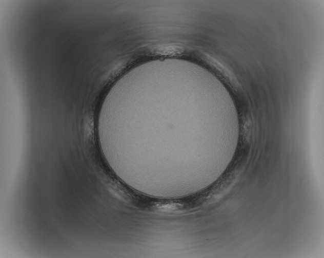 X0000111840407200908131423