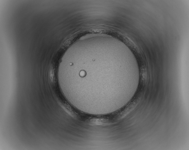 X0000111840408200908131423