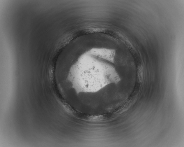 X0000111840410200908131423