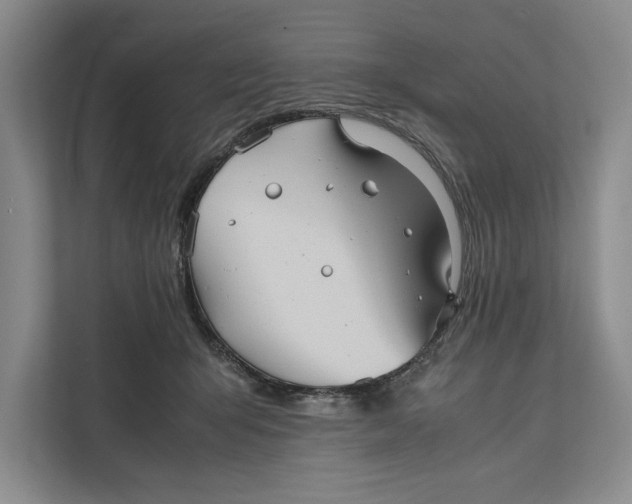 X0000111840415200908131423