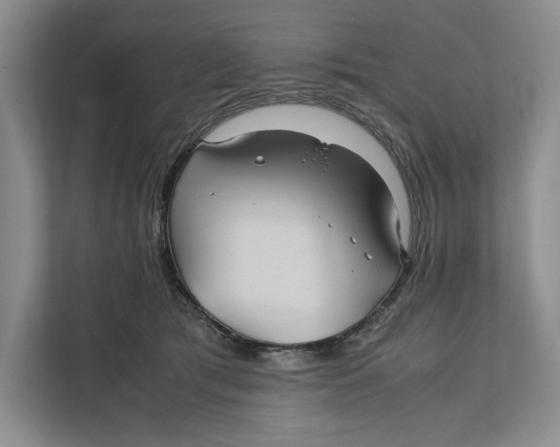 X0000111840417200908131423