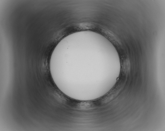 X0000111840418200908131423